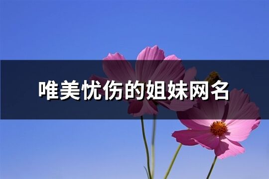 唯美忧伤的姐妹网名(精选29个)