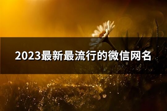 2023最新最流行的微信网名(精选1363个)