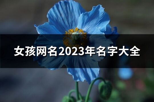 女孩网名2023年名字大全(1064个)