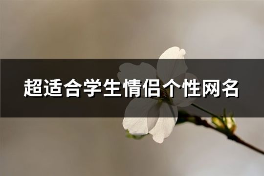 超适合学生情侣个性网名(246个)