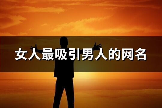 女人最吸引男人的网名(优选274个)