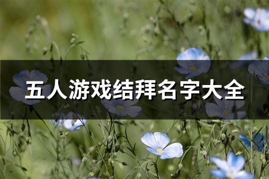 五人游戏结拜名字大全(共173个)