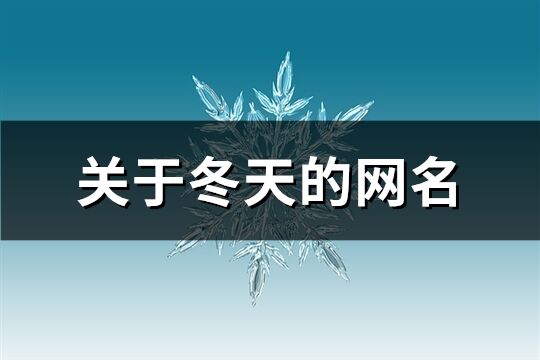 关于冬天的网名(精选88个)