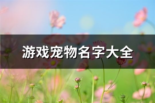 游戏宠物名字大全(共173个)