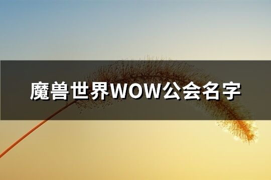 魔兽世界WOW公会名字(352个)