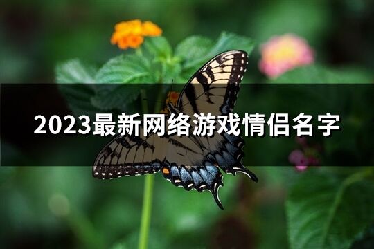 2023最新网络游戏情侣名字(共301个)