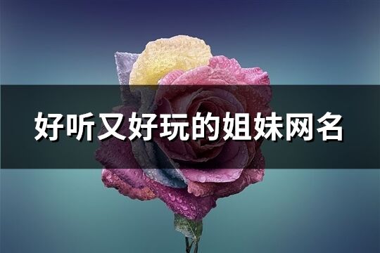 好听又好玩的姐妹网名(共200个)