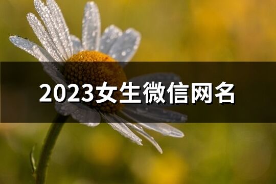 2023女生微信网名(精选1182个)