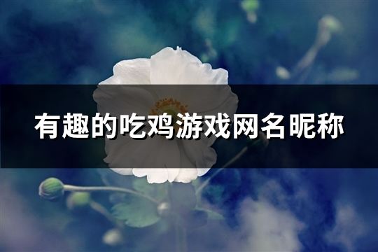 有趣的吃鸡游戏网名昵称(共184个)