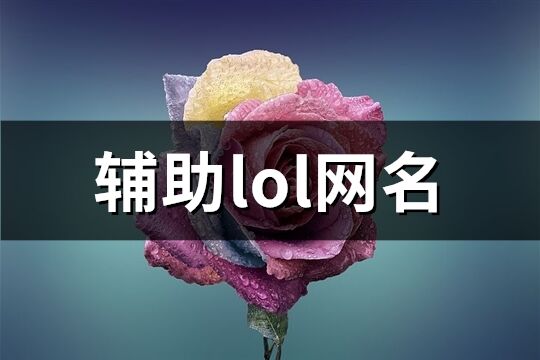 辅助lol网名(共170个)