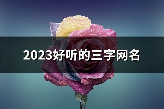 2023好听的三字网名(共791个)