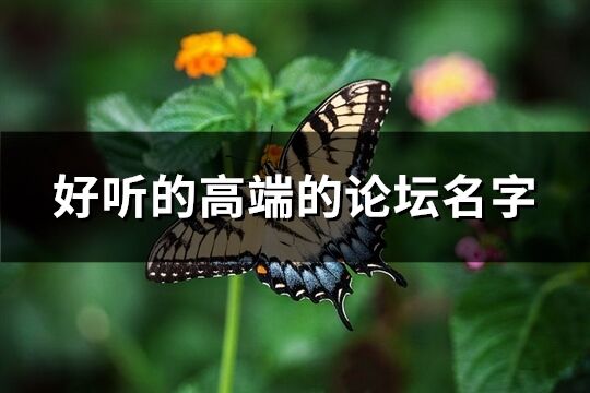 好听的高端的论坛名字(103个)