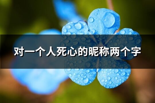 对一个人死心的昵称两个字(共113个)