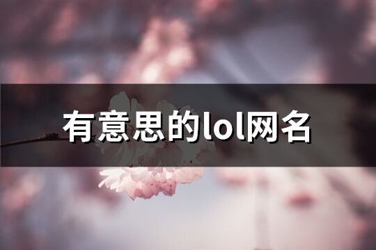 有意思的lol网名(501个)