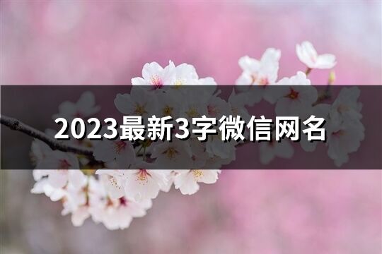 2023最新3字微信网名(共114个)