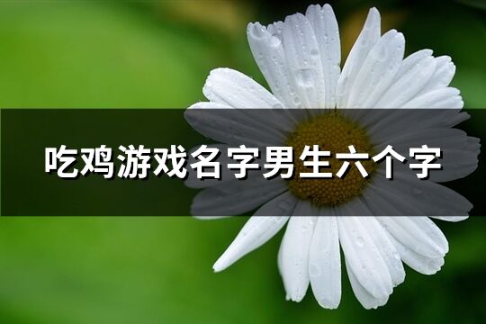 吃鸡游戏名字男生六个字(共501个)