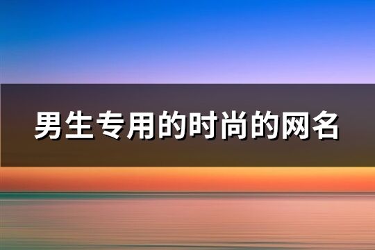 男生专用的时尚的网名(共772个)