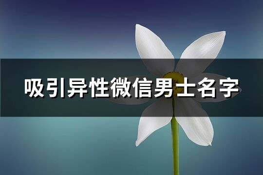 吸引异性微信男士名字(共1879个)