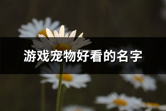 游戏宠物好看的名字(430个)