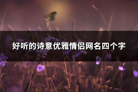 好听的诗意优雅情侣网名四个字(精选446个)