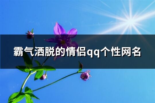 霸气洒脱的情侣qq个性网名(精选165个)