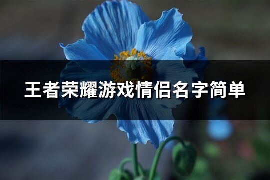 王者荣耀游戏情侣名字简单(精选760个)