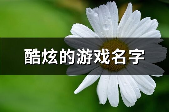 酷炫的游戏名字(共585个)