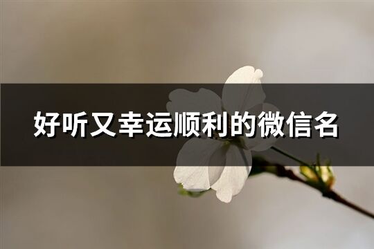 好听又幸运顺利的微信名(共544个)