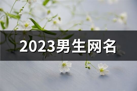 2023男生网名(共658个)