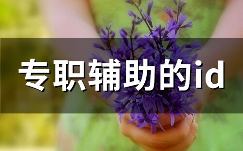 专职辅助的id(90个)