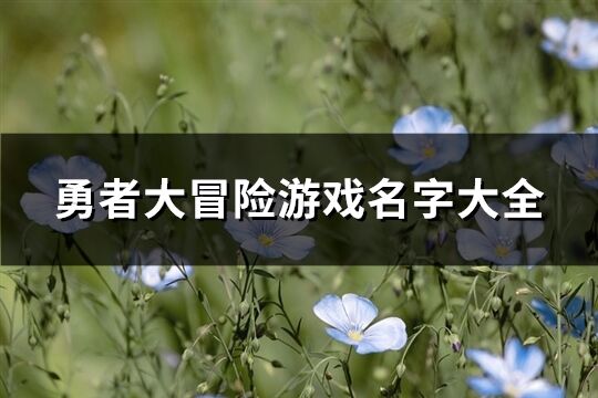 勇者大冒险游戏名字大全(共93个)