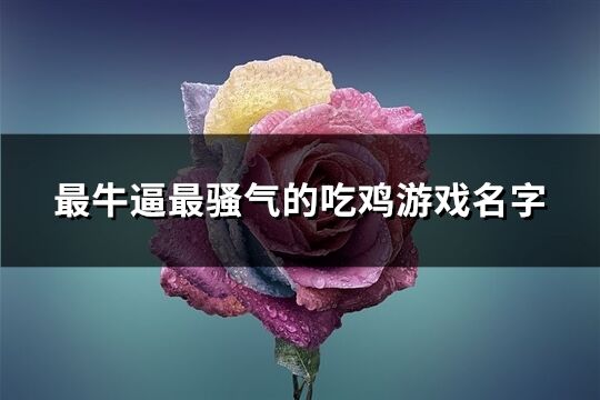 最牛逼最骚气的吃鸡游戏名字(共401个)