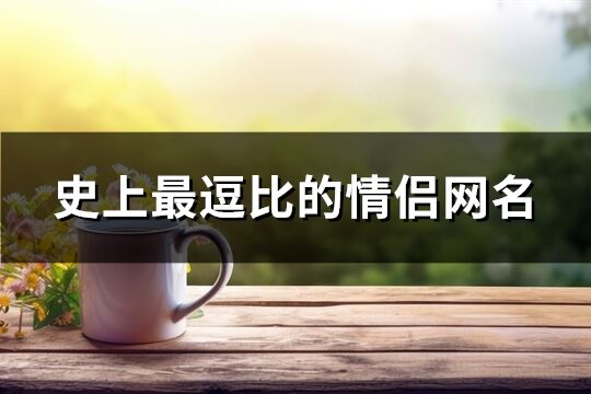 史上最逗比的情侣网名(228个)