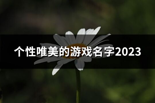 个性唯美的游戏名字2023(精选59个)