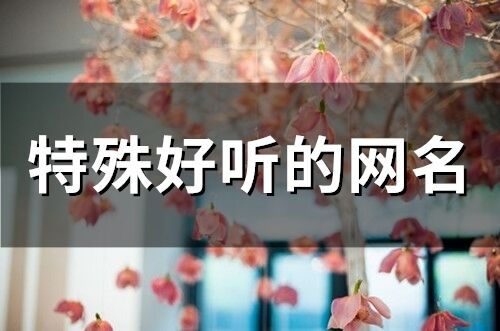 特殊好听的网名(精选369个)