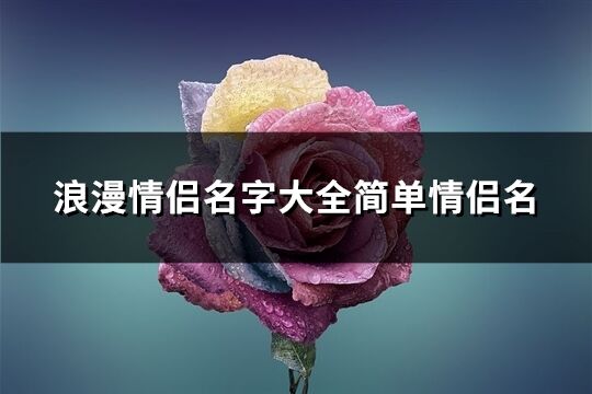 浪漫情侣名字大全简单情侣名(共432个)