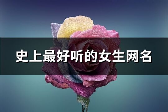 史上最好听的女生网名(精选484个)