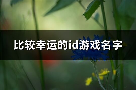 比较幸运的id游戏名字(共287个)