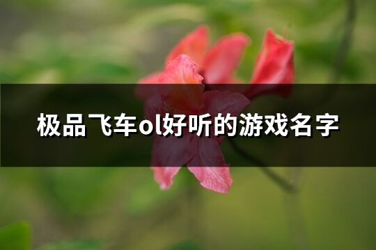 极品飞车ol好听的游戏名字(220个)