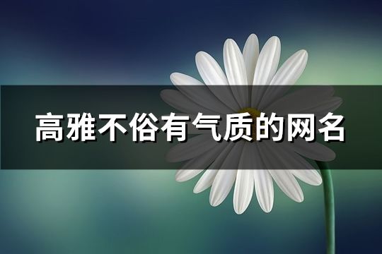 高雅不俗有气质的网名(152个)