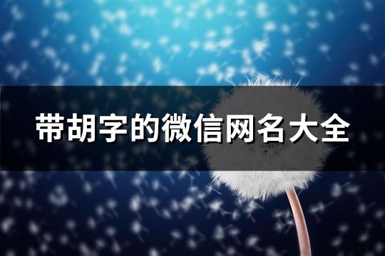 带胡字的微信网名大全(精选175个)