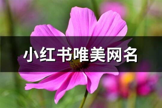 小红书唯美网名(共258个)