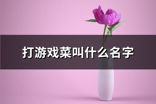 打游戏菜叫什么名字(精选104个)