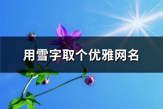 用雪字取个优雅网名(优选185个)