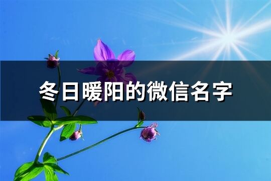 冬日暖阳的微信名字(优选61个)