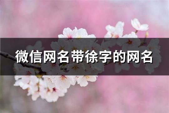 微信网名带徐字的网名(共167个)