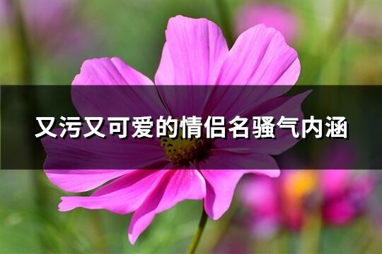 又污又可爱的情侣名骚气内涵(共60个)