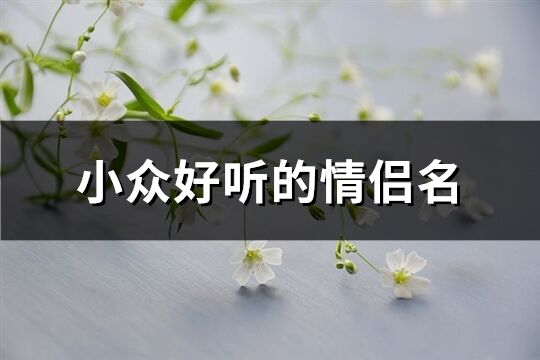 小众好听的情侣名(63个)