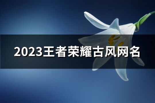 2023王者荣耀古风网名(282个)