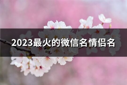 2023最火的微信名情侣名(274个)